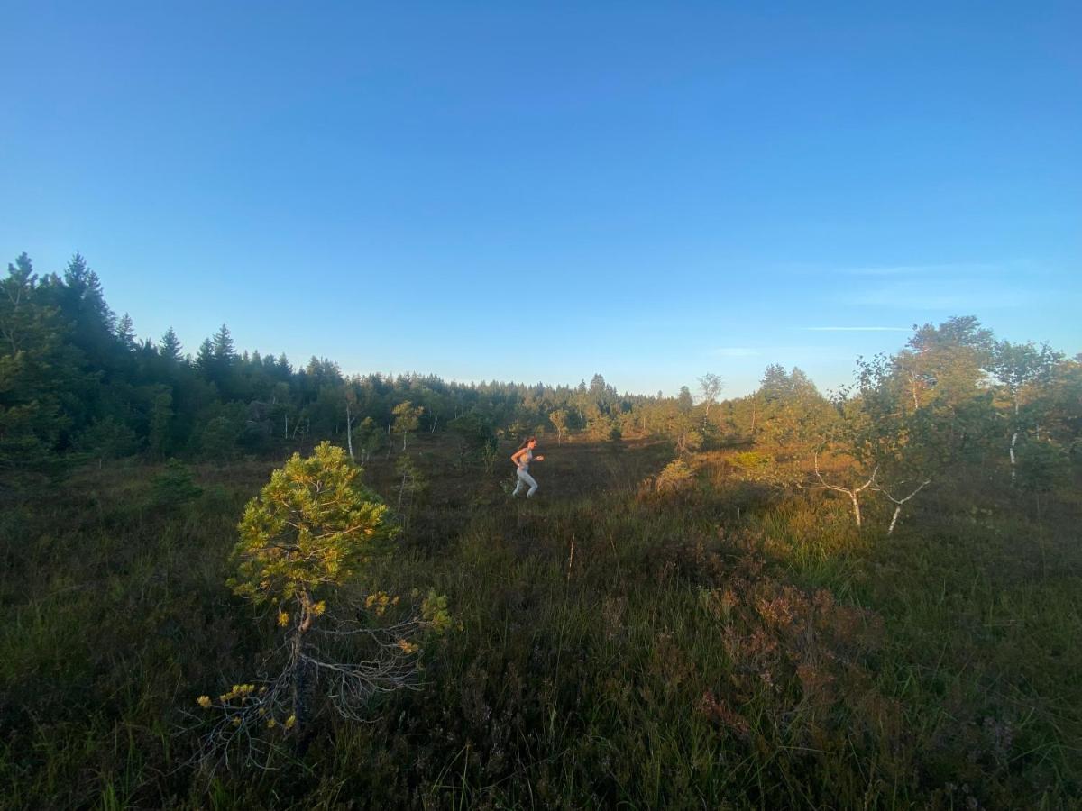 Am Lenzensberg 667 - Neu Mit E-Ladestation Leilighet Traunstein Eksteriør bilde
